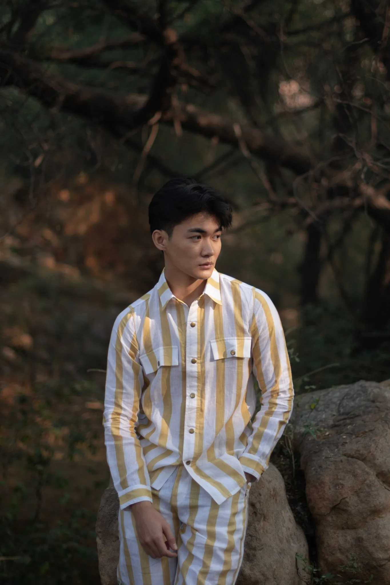 Arizona Relaxed Shirt - Yellow Stripe