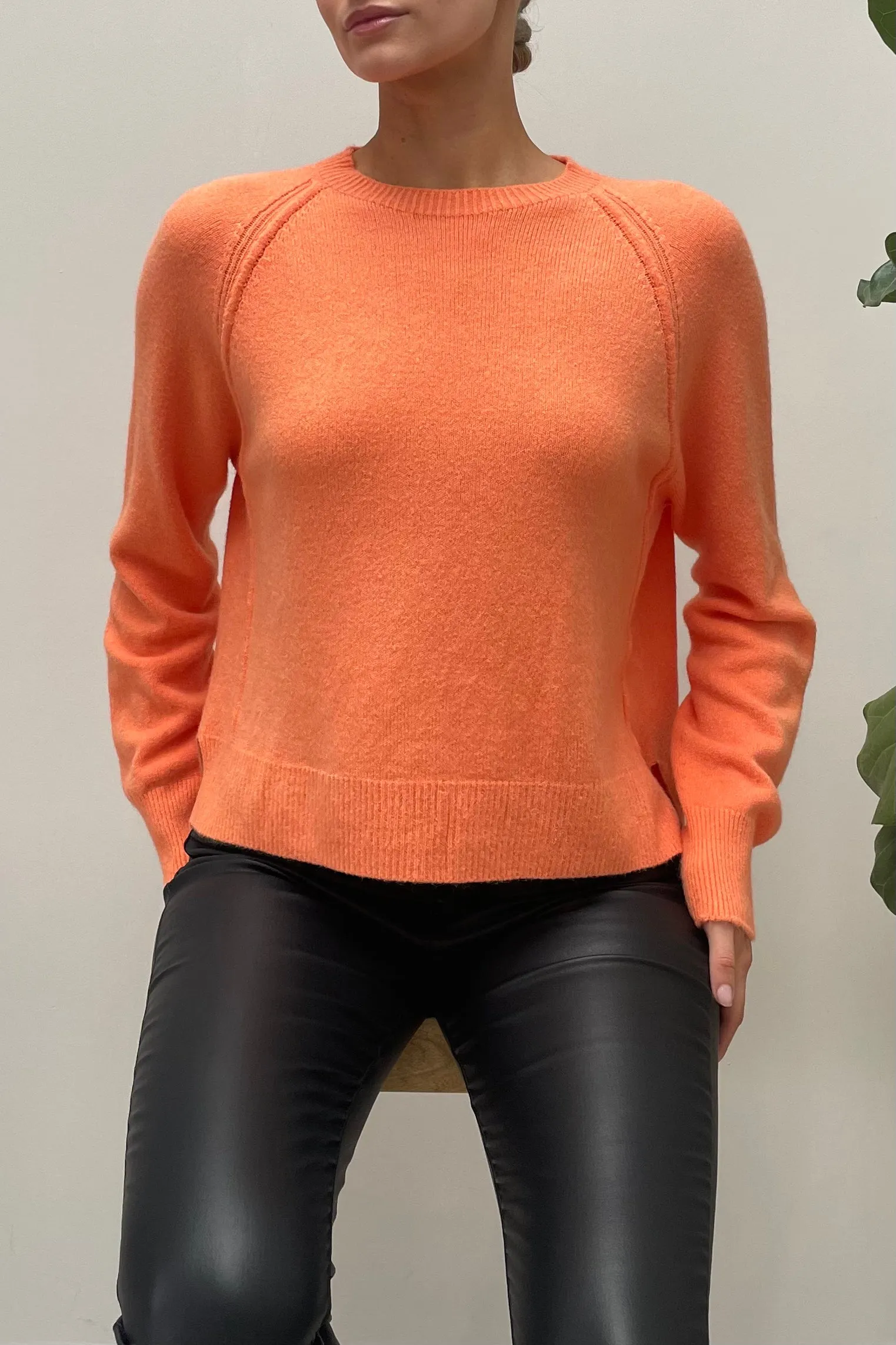 Radley Crew Neck Sweater