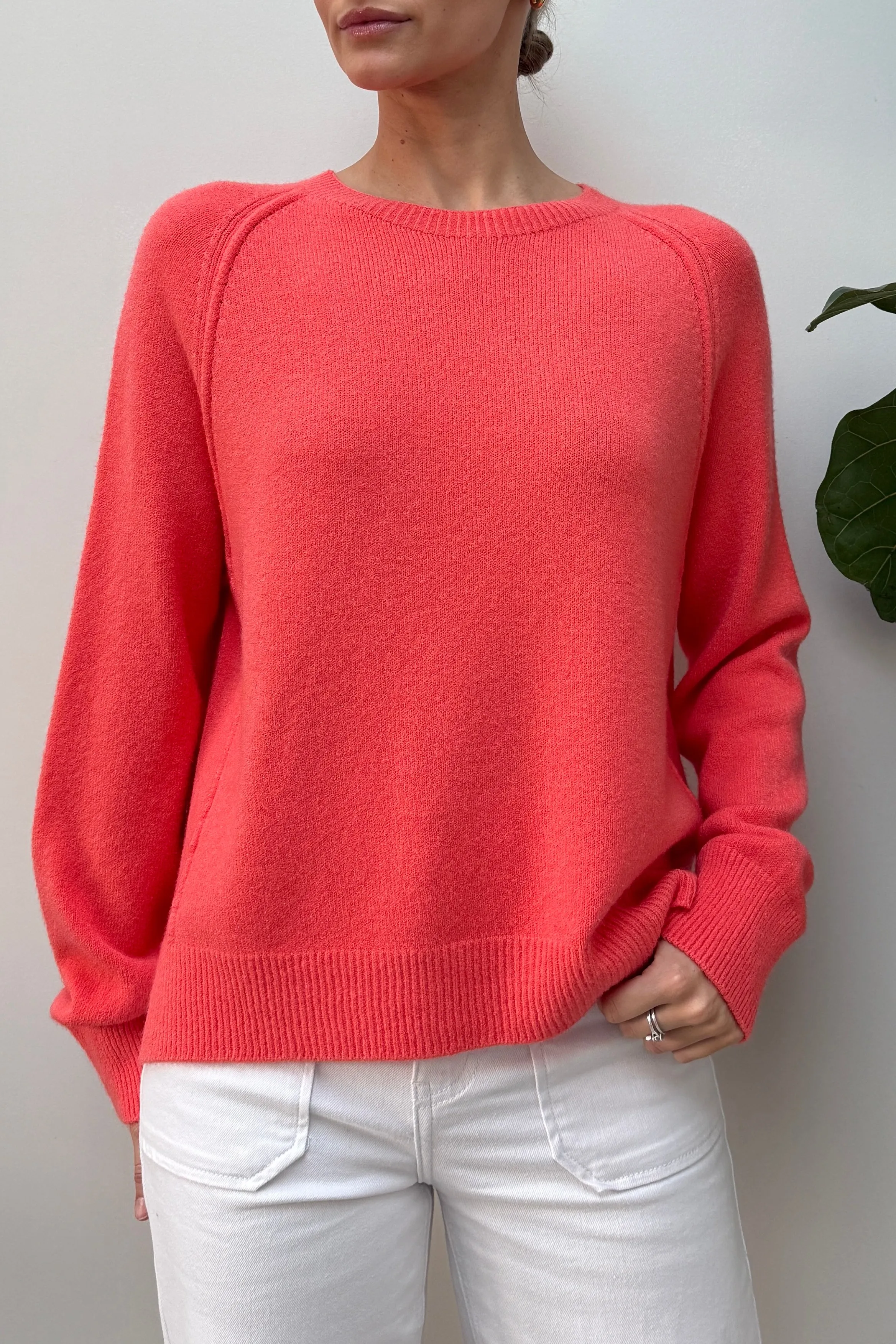 Radley Crew Neck Sweater